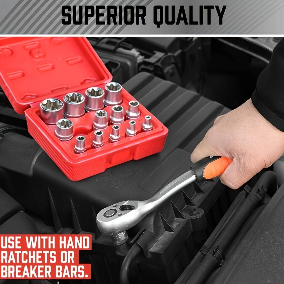 External Torx Socket Set 14pcs E4-E24, 1/4" 3/8" 1/2" Drive E-Torx Star Sockets, Cr-V Steel with Storage Box, for Cars Trucks & Auto Repair